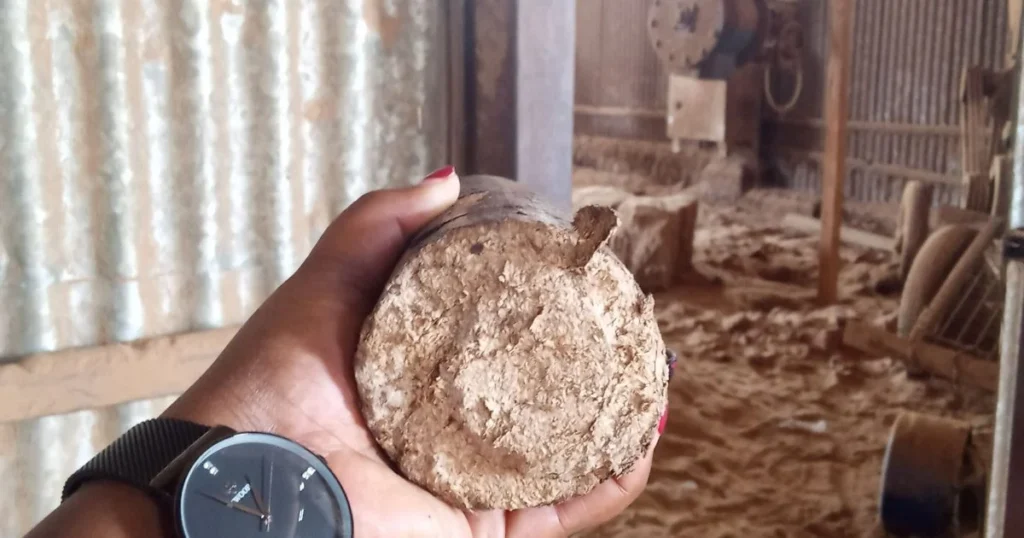 Éco-entrepreneuriat en Afrique